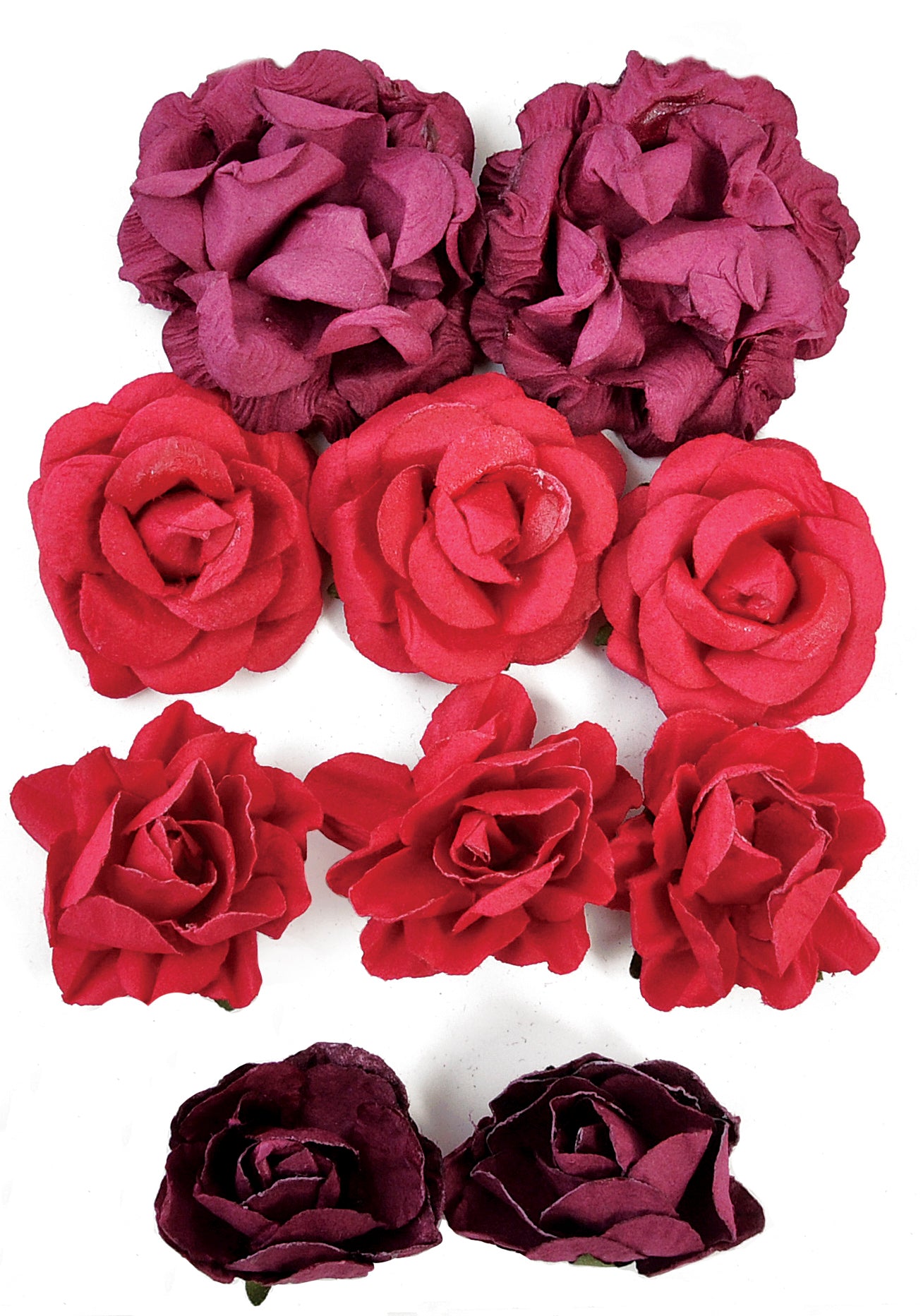 Paper Blooms - Cranberry